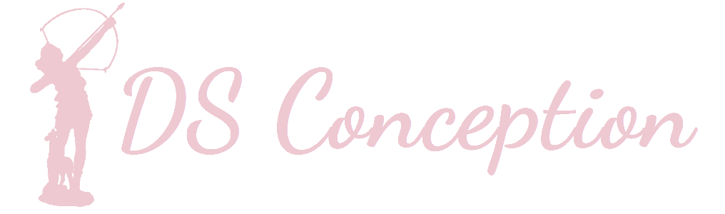 Logo DS Conception